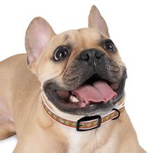 Load image into Gallery viewer, Hot Dog Summer Collar