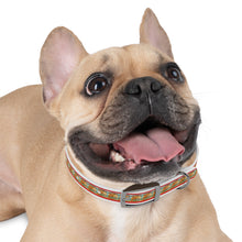 Load image into Gallery viewer, Hot Dog Summer Collar