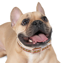 Load image into Gallery viewer, Hot Dog Summer Collar