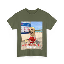 Load image into Gallery viewer, Not Made In BONDI Tee