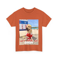 Load image into Gallery viewer, Not Made In BONDI Tee