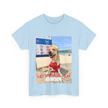 Load image into Gallery viewer, Not Made In BONDI Tee