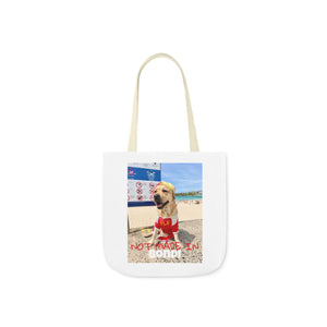 Not Made In BONDI Tote