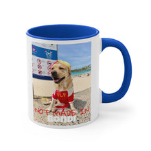 Load image into Gallery viewer, Not Made In BONDI Mug
