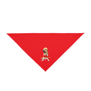 Not Made In BONDI Bandana (Red)