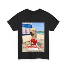Load image into Gallery viewer, Not Made In BONDI Tee
