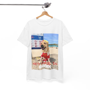 Not Made In BONDI Tee