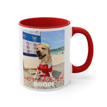 Load image into Gallery viewer, Not Made In BONDI Mug
