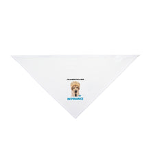 Load image into Gallery viewer, I&#39;m Looking For A Man In Finance Bandana
