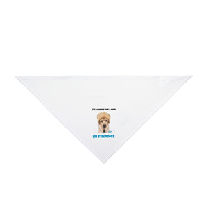I'm Looking For A Man In Finance Bandana