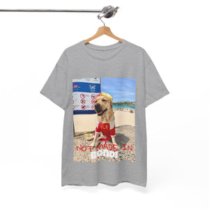 Not Made In BONDI Tee