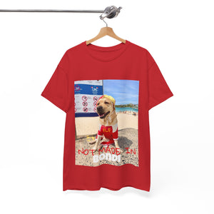 Not Made In BONDI Tee