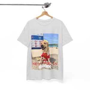 Not Made In BONDI Tee