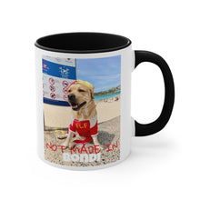 Load image into Gallery viewer, Not Made In BONDI Mug
