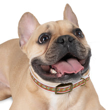 Load image into Gallery viewer, Hot Dog Summer Collar
