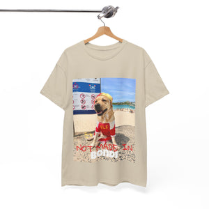 Not Made In BONDI Tee