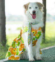 Load image into Gallery viewer, I Can Buy Myself A Flower Dress
