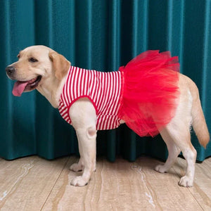 Stripe A Pose Dress