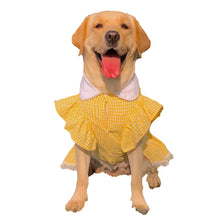 Load image into Gallery viewer, Dorothy Dress

