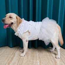 Load image into Gallery viewer, Frock On Party Dress
