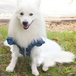 I'm Frilled Dress
