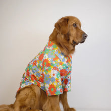 Load image into Gallery viewer, Bring Back the 70s Tee
