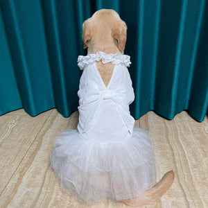 Frock On Party Dress