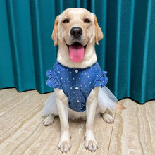 Load image into Gallery viewer, I&#39;m Frilled Dress
