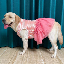 Load image into Gallery viewer, Stripe A Pose Dress
