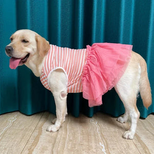 Stripe A Pose Dress