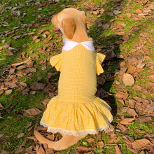 Load image into Gallery viewer, Dorothy Dress
