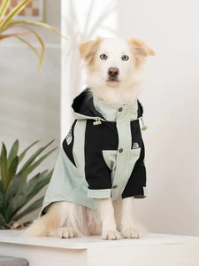 The Dog Fans Reflective Jacket