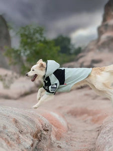 The Dog Fans Reflective Jacket