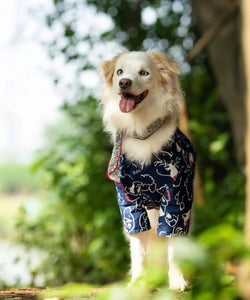 Out On The Town Shirt