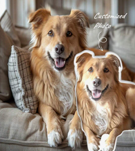 Load image into Gallery viewer, Personalised Pet Pillow
