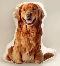 Load image into Gallery viewer, Personalised Pet Pillow
