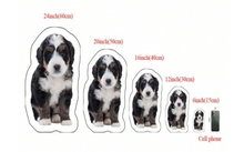 Load image into Gallery viewer, Personalised Pet Pillow
