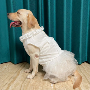 Frock On Party Dress