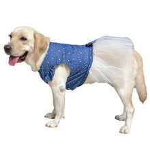 Load image into Gallery viewer, I&#39;m Frilled Dress
