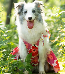 I Can Buy Myself A Flower Dress
