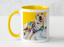 Load image into Gallery viewer, Colour Pop Mug
