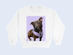 Personalised Colour Pop Sweaters